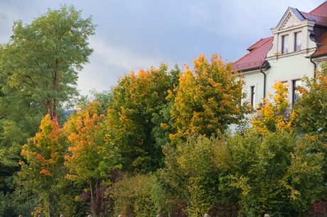 Furth im Wald